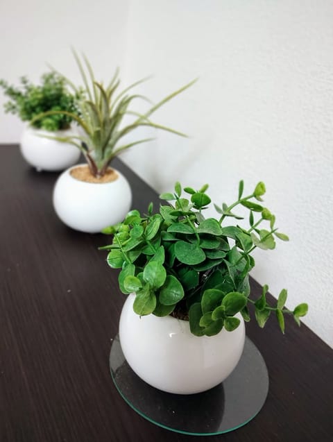 緑のあるお部屋🪴癒されますね🌿
11/24（日）は初の本指名様のご予約✨うれしい🙌
11時〜ならまだ空いてまーす♬
#メ