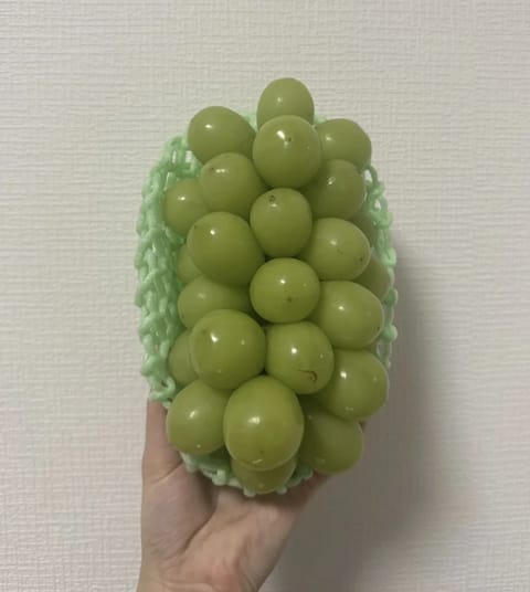 本日もありがとうございます（╹◡╹）
1年以上通ってくださる本指様から差し入れでシャインマスカットいただきました🫶🥺