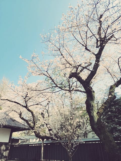 こんにちは☀
今日もいい天気〜桜も満開だね🌸*･

先週お会いできたみなさまご予約ありがとうございます💕
3月も終わりも