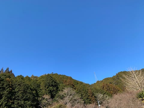 ポカポカでいいお天気🙌✨
でもまた寒くなるそうなのでゲンナリ…