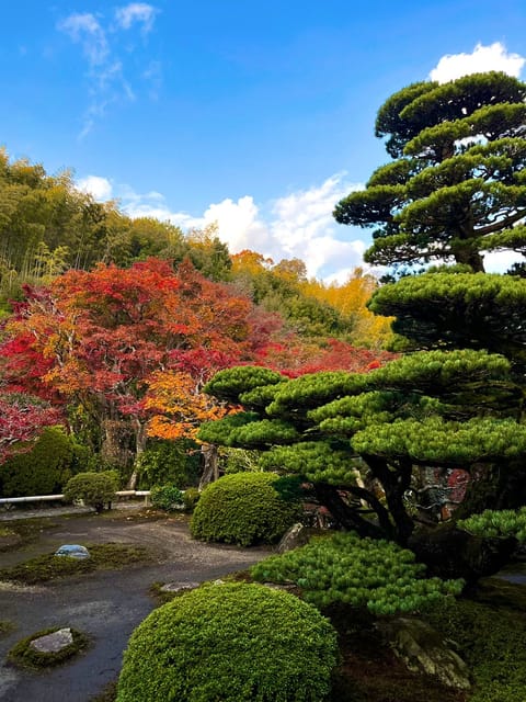 ずっと行ってみたかった場所に行けて住職さんの話も聞けて充実感増した🫶🍁
