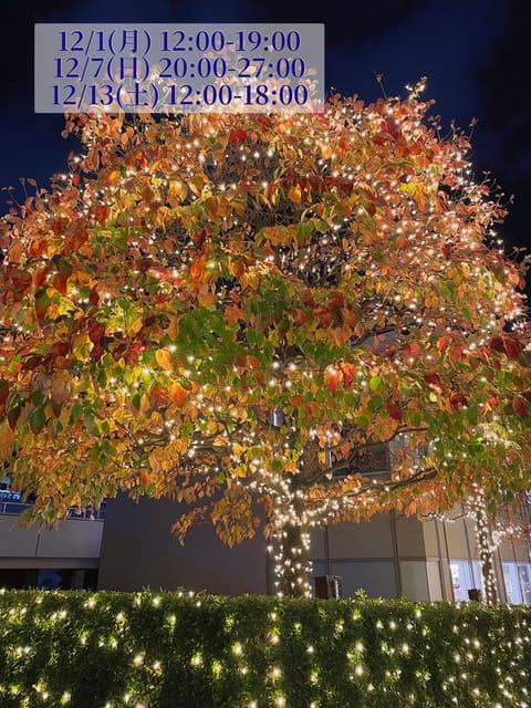 今日から12月ですね〜
シフト載っけます👐

この木、紅葉とイルミネーションがいい感じにマッチしていた〜🤗🌳🍁🎄