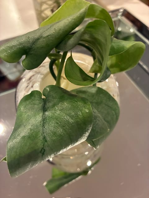おはようございます☀
昨日もご予約🈵ありがとうございました🥺🙇🏼‍♀️✨✨
私の出勤予定日と合わんすぎて、もう子守唄から