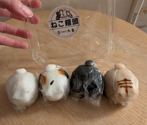 めちゃくちゃ可愛い差し入れ頂きました✨
本日も満枠ありがとうございました🙇‍♀️🙇‍♂️