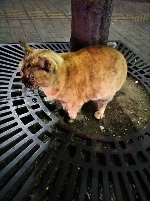 本日もお誘いありがとうございました.*˚
次回は27日の13時から
お会いできるのを楽しみにしております☺️

帰り道、