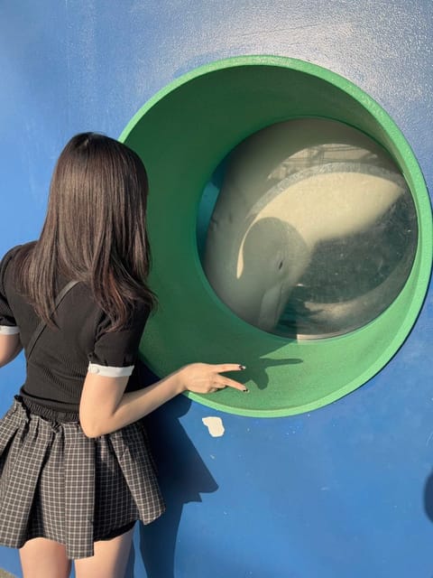 今日のハイライト🐬♡

明日は歌舞伎町ルーム🩵
12:00~21:00

お昼帯は初なんです🤫タイミング合う方お待ちして