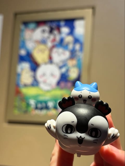 😸