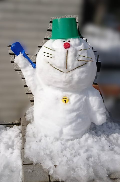 これ、うちのおかんが数年前に作った
ドラちゃんの雪だるまなんですけど、
うますぎですよね😳？？

#ドラえもん
#雪だる