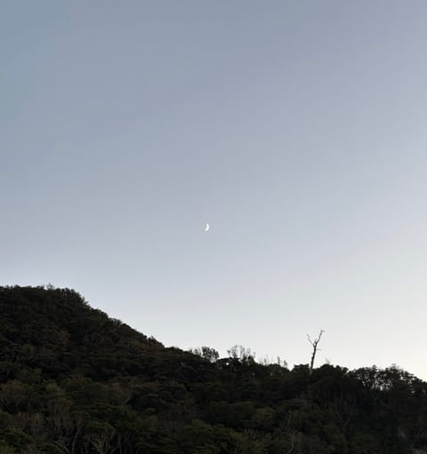 普段見ている景色に月が出ているだけで心が和みます🌙
