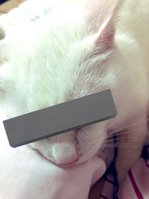 皆様ご機嫌よう🫡本指名様、初めまして様ご予約満了ありがとうございました✨
沢山お話出来て嬉しかったです。アレチャレンジで