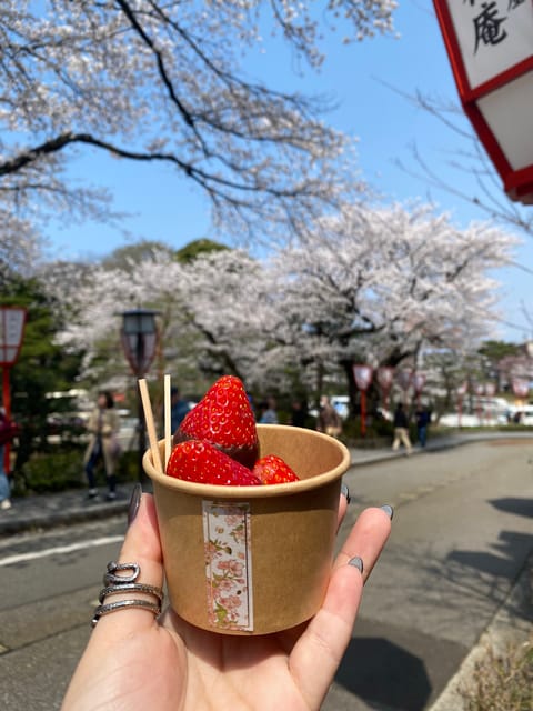 🌸桜見てきた🌸

今日17時からしれっと金沢ルームに居ます🙋‍♀️🫧

お仕事終わり会いに来てくれたら嬉しいな( *´꒳