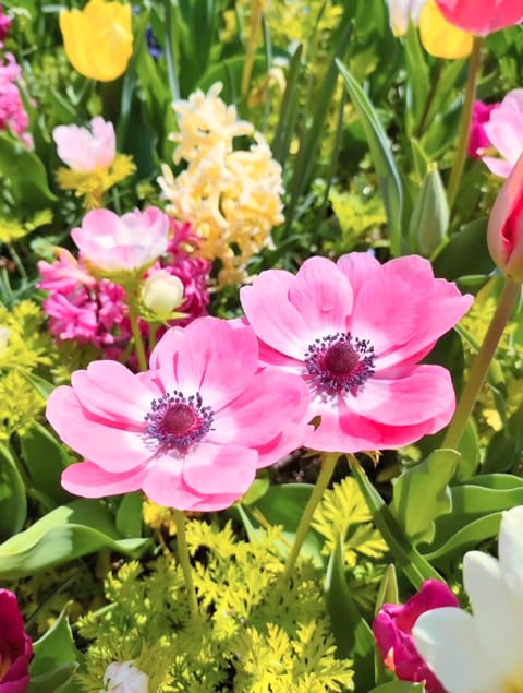 おはようございます🌷

今週の予定です☺️
🌱15日㈫10:30～16:30
🌱17日㈮17:00～23:00
🧚‍♂️