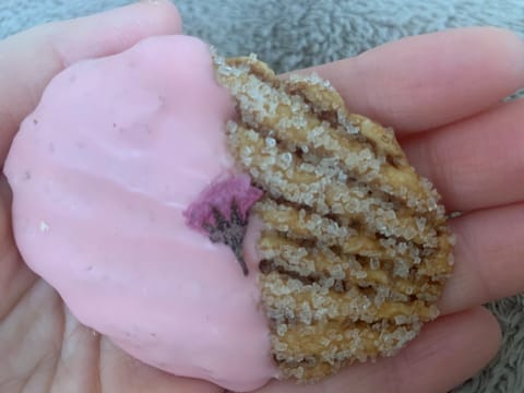 桜のお菓子🌸
貝のような形のクッキーに桜の花びら

#桜花びら