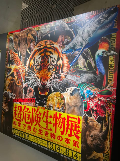 今日はここ✨
国立科学博物館の超危険生物展に行ってきました⚠️面白かったー🤗

写真自由だったから色々撮ったけど枚数制限