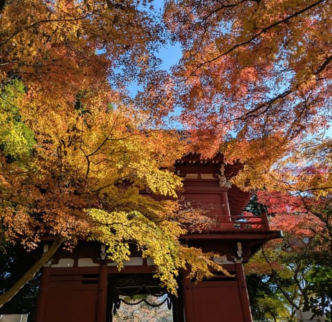 今年の出勤予定です⛄️

♡7日㈰11:00-17:00（小山）
♡8日㈪11:00-15:00（小山）
♡14日㈰11