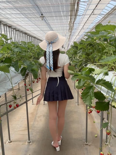 もみじ
