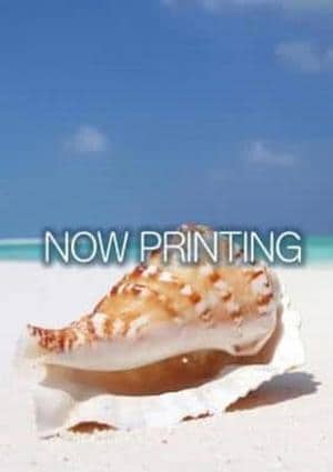 華原 うみ