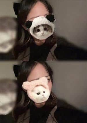 みらん