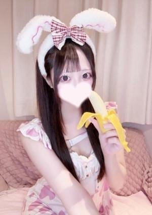 ちわわ