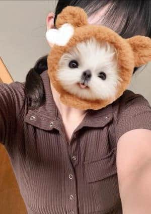 こころ