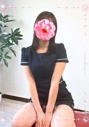 花宮 こはる