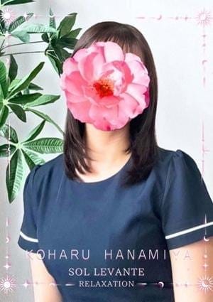 花宮 こはる