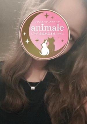 自由が丘メンズエステanimale（アニマーレ）本店 セラピスト まほ