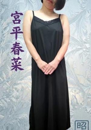 宮平春菜