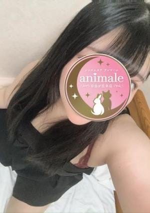 自由が丘メンズエステanimale（アニマーレ）本店 セラピスト いちは