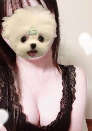 ねね
