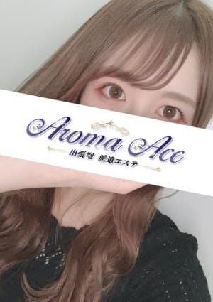 使徒めこ