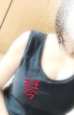 琴